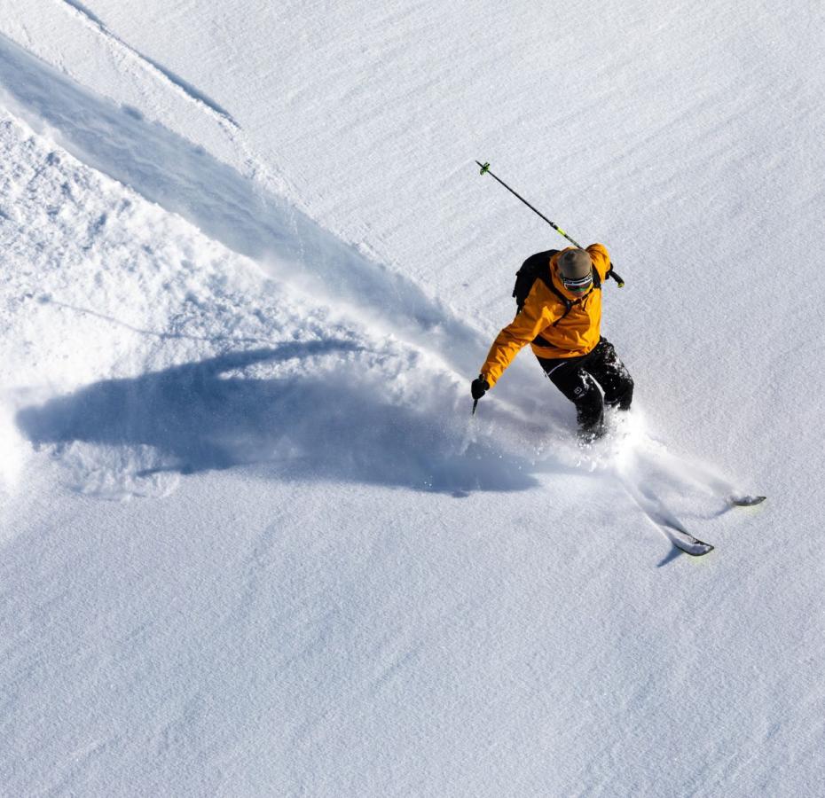 Skiër in verse poedersneeuw